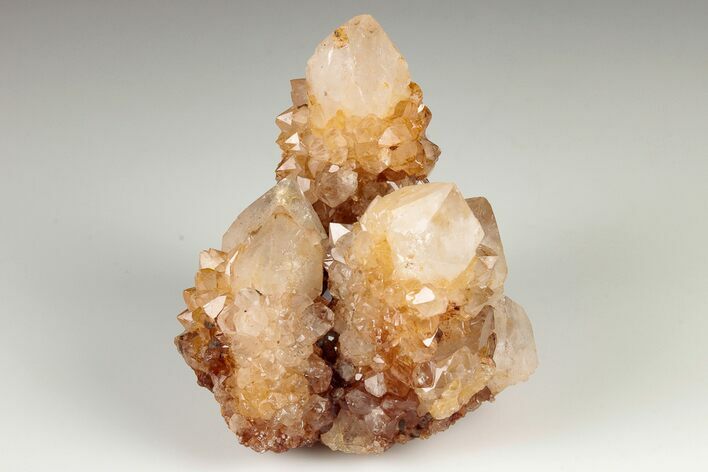 Sunshine Cactus Quartz Crystal Cluster - South Africa #191796